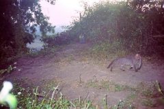 photo_gallery_11a