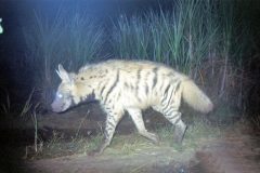photo_gallery_12a