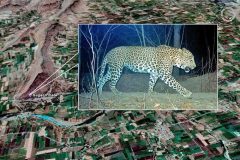 photo_gallery_1a