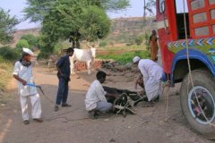 photo_gallery_14a
