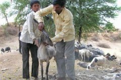 photo_gallery_17a