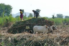 photo_gallery_21a