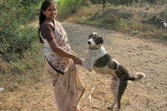 photo_gallery_23a
