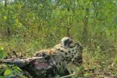 photo_gallery_26a