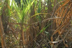 photo_gallery_27a