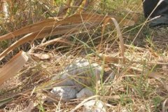 photo_gallery_28a