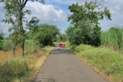 photo_gallery_29a